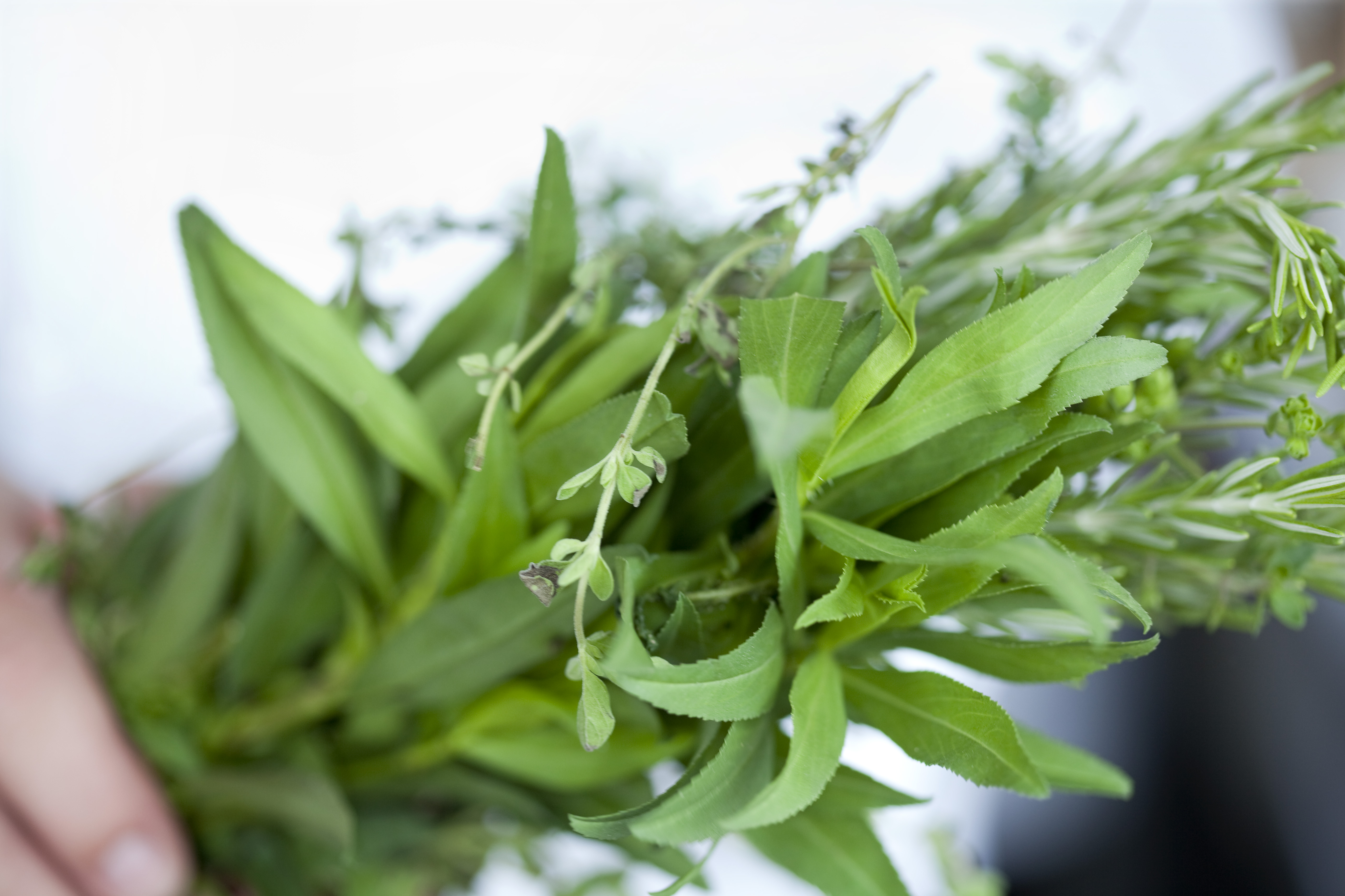 Spring Recipe Guide | Emerils.com