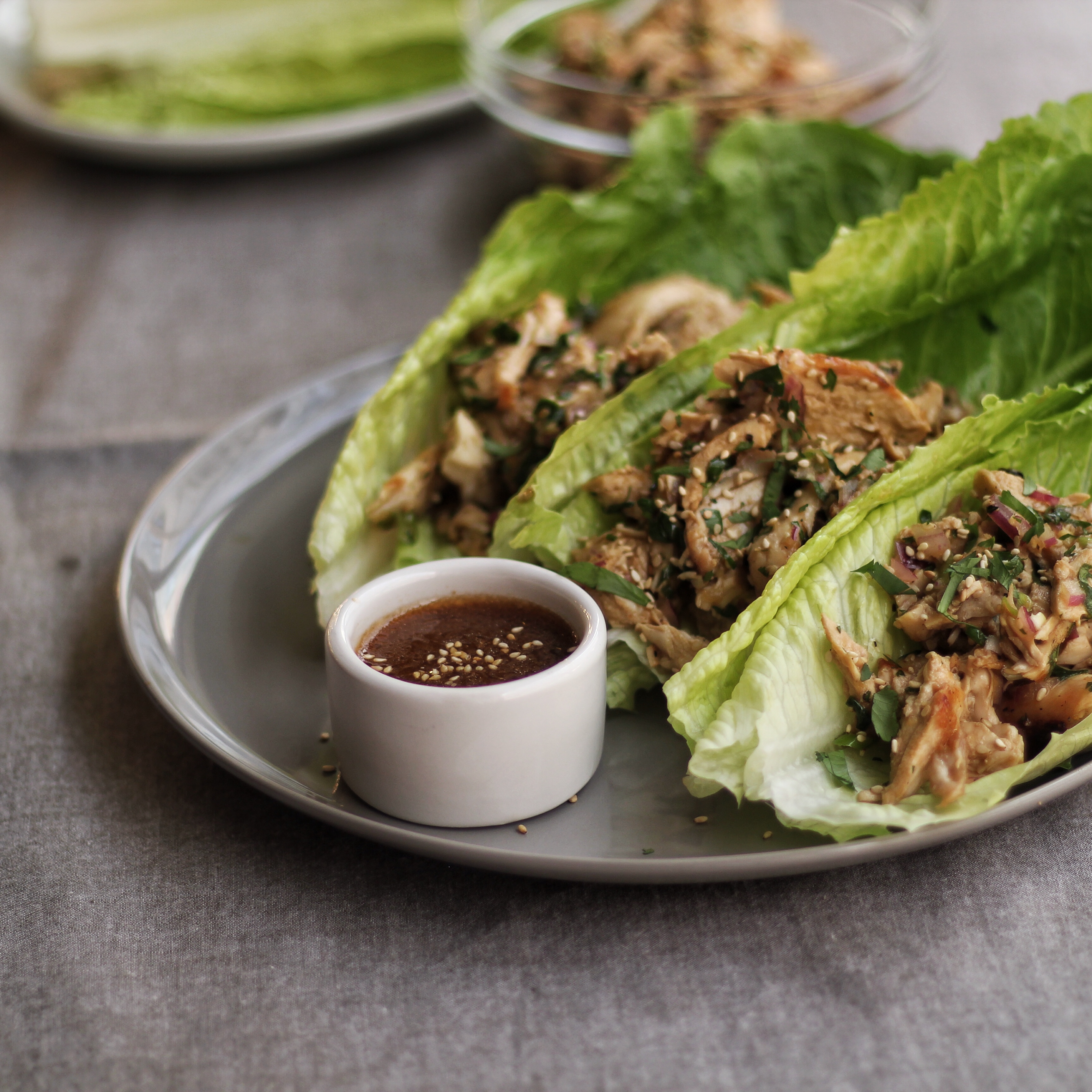Thai Chicken Salad Wraps | Emerils.com