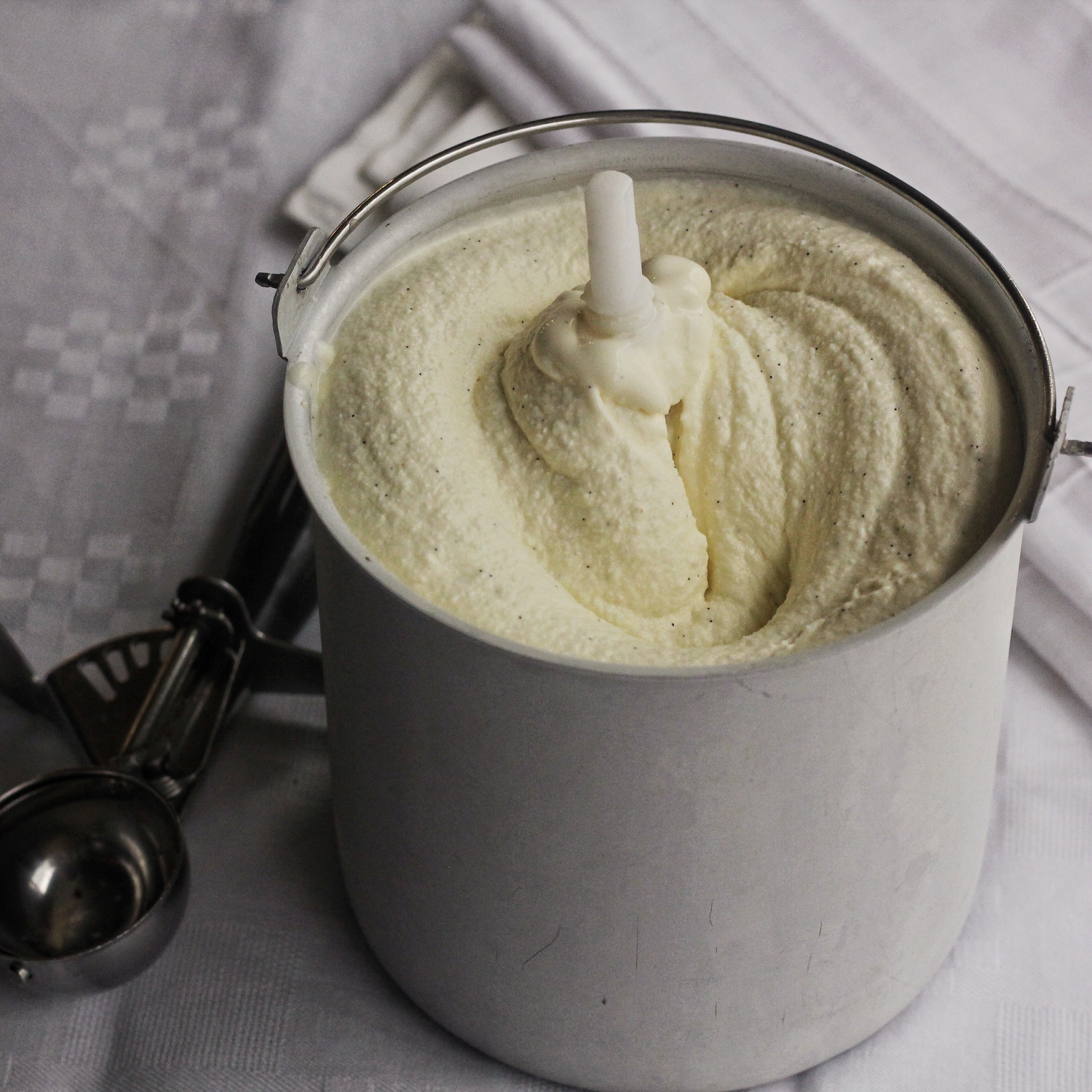 Vanilla Ice Cream | Emerils.com