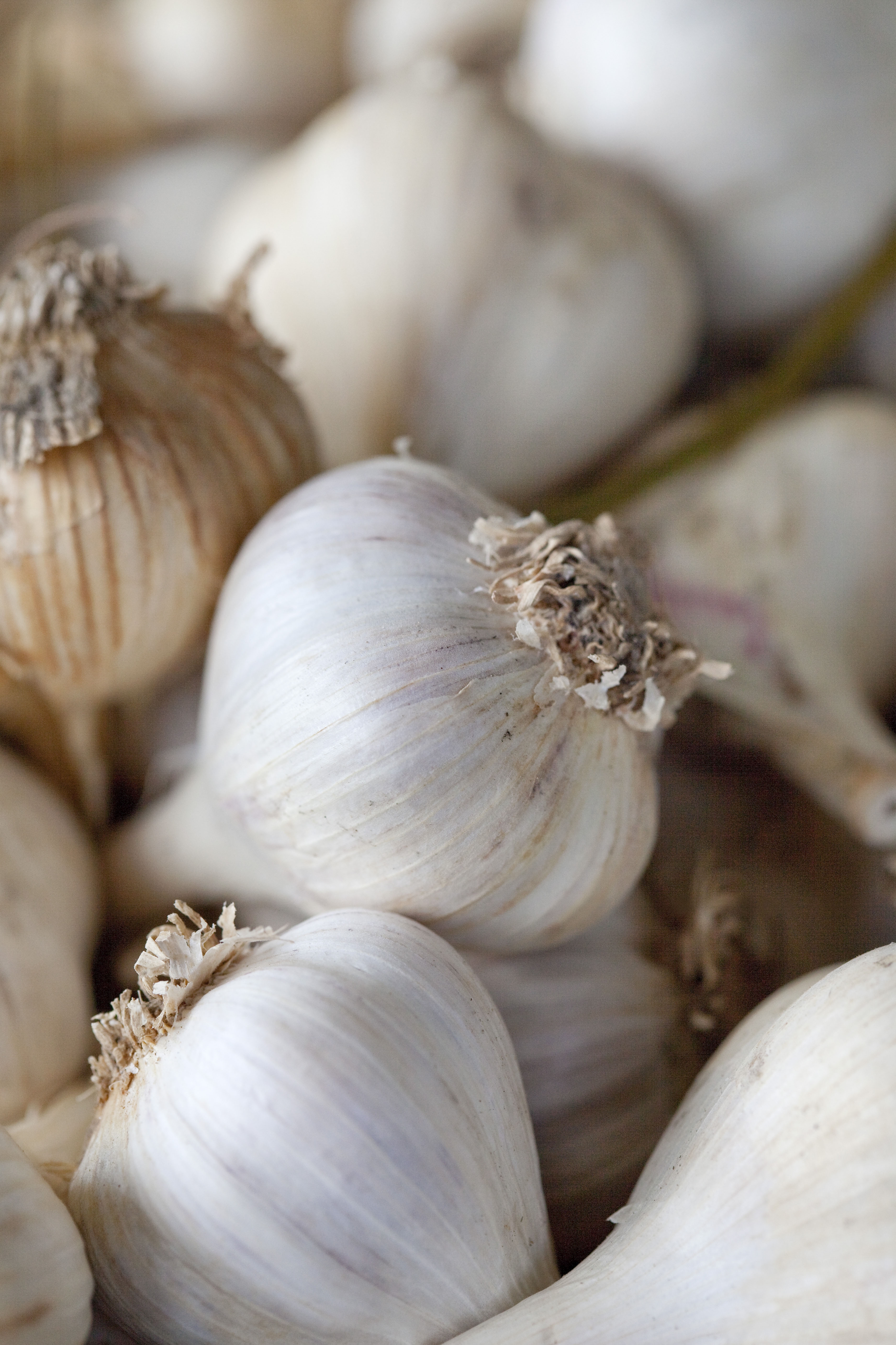 Roasted Garlic | Emerils.com