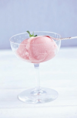 Red Grapefruit Sorbet | Emerils.com