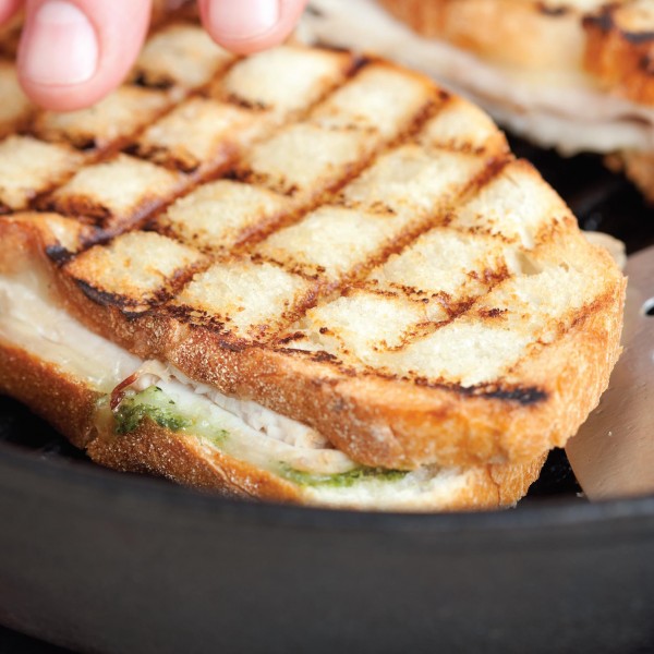 emeril panini press